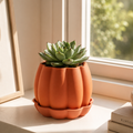 Flora | Planter